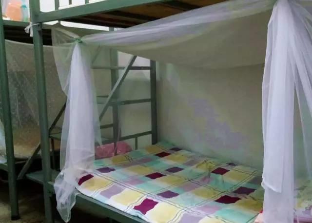 东莞名高,名高中