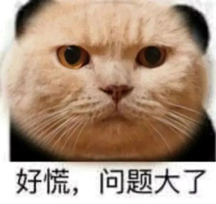 粉头教唆未成年给偶像集资,初二女生连吃一学期方便面致停经