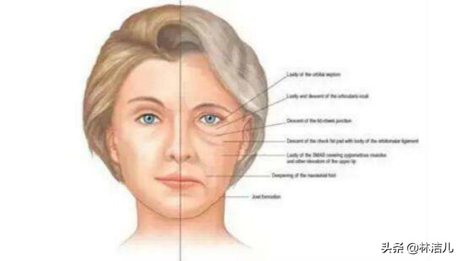 冻龄女神减龄,冻龄女神气质十足