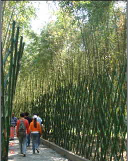 千年古刹红螺寺拍摄,红螺寺千年古刹