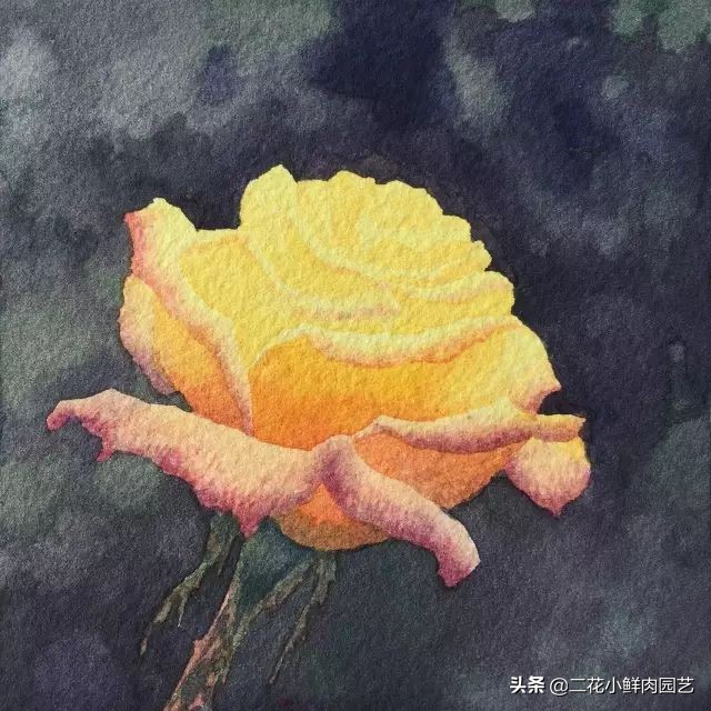 100种花卉绘画,100多张花卉线描手稿素材赶快收藏