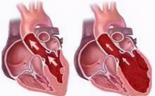新手爸妈必看婴幼儿护理,新手爸妈要知道的四个儿科医生