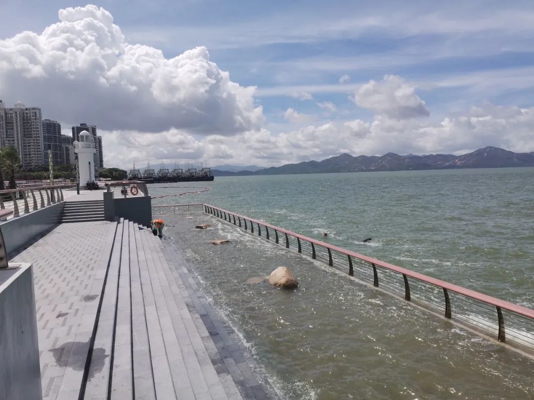 深圳新添大型高颜值公园,深圳最近新开放的公园