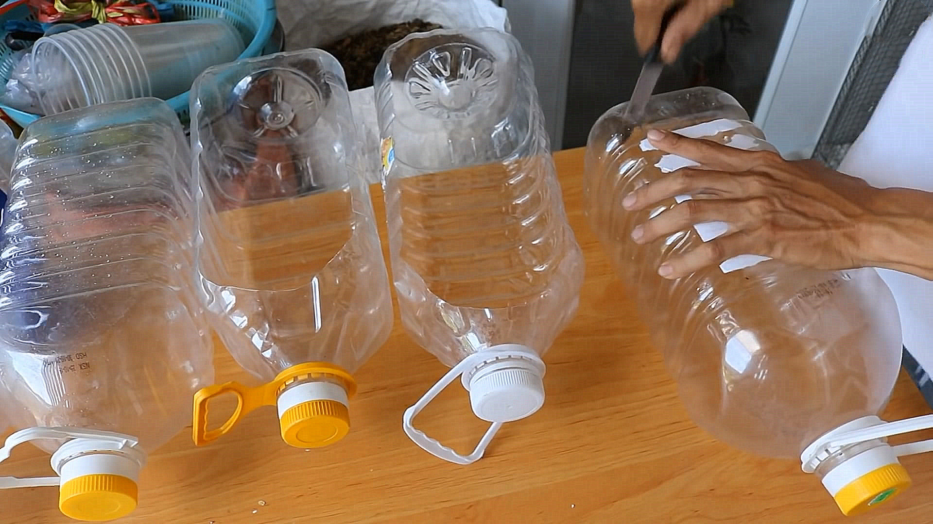 用完的油桶不要扔,废油桶种菜制作几种方法