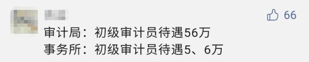 审计津贴事业编有吗,审计局招聘聘用制公务员