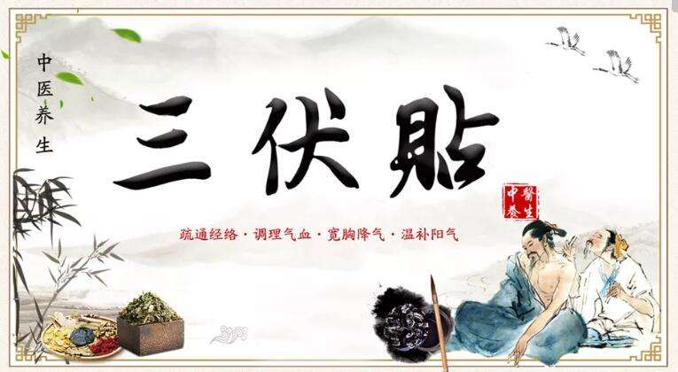 中医三伏贴冬病夏治正当时,冬病夏治正当时快来预约三伏贴