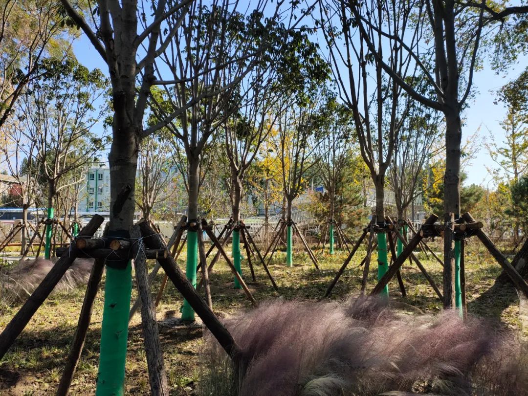 天坛附近公园有哪些,天坛公园周边有什么可逛的