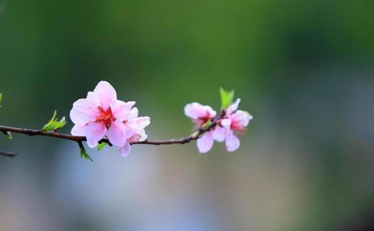 如果你爱上了一个有家庭的男人，要学会如此做