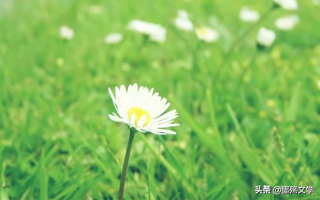 若千世界，总有人收留你