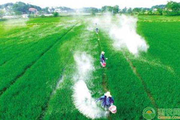生石灰对土壤有什么作用和功效,生石灰在农业种植中的作用