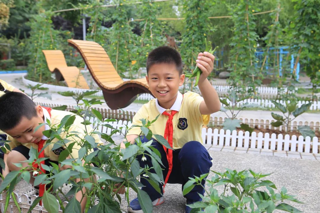 课后服务针对义务教育阶段吗,课后服务对教育教学的改变