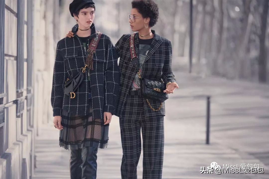 diorsaddle包全金,diorsaddle大包