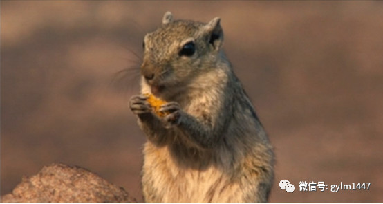 css继承属性有哪些,css样式优先级的一般性规则是