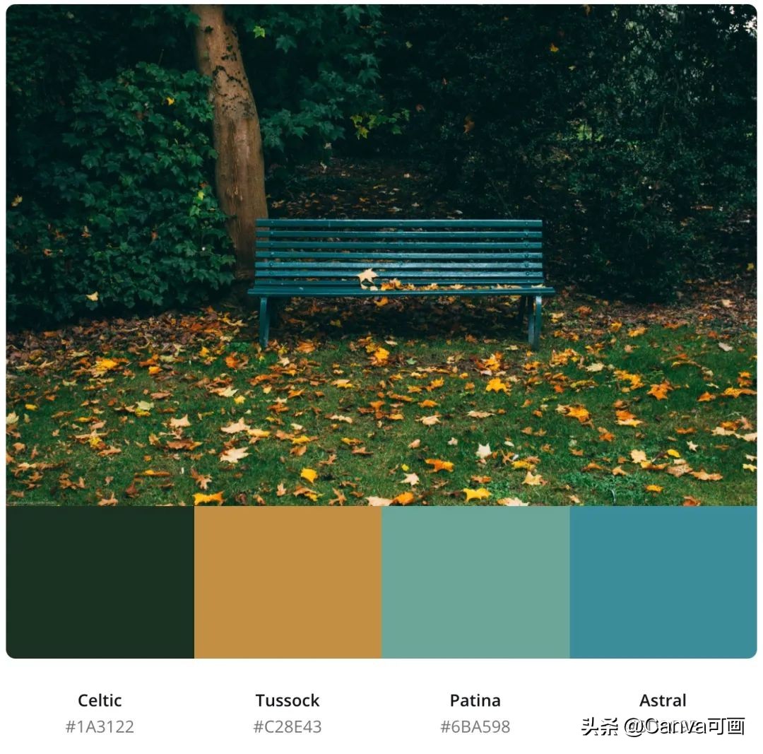 秋天配色插画秋高气爽,秋季高清插画