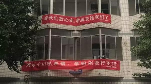 毕业季校园里这些横幅看哭了,学校毕业横幅