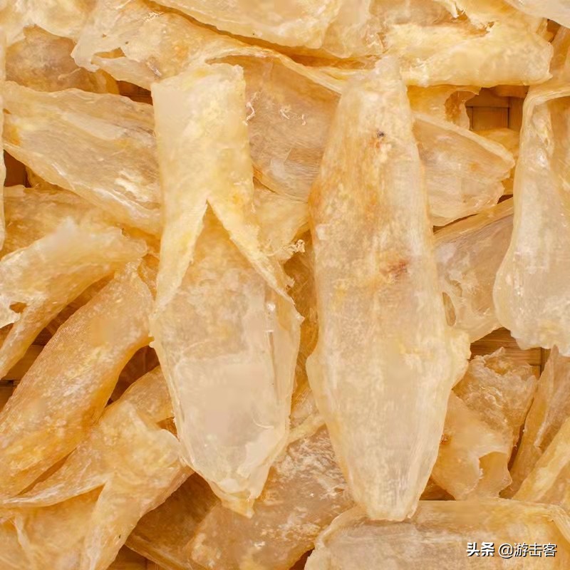 鱼胶种类有几种及辨别方法,野生鱼胶与养殖鱼胶的区别