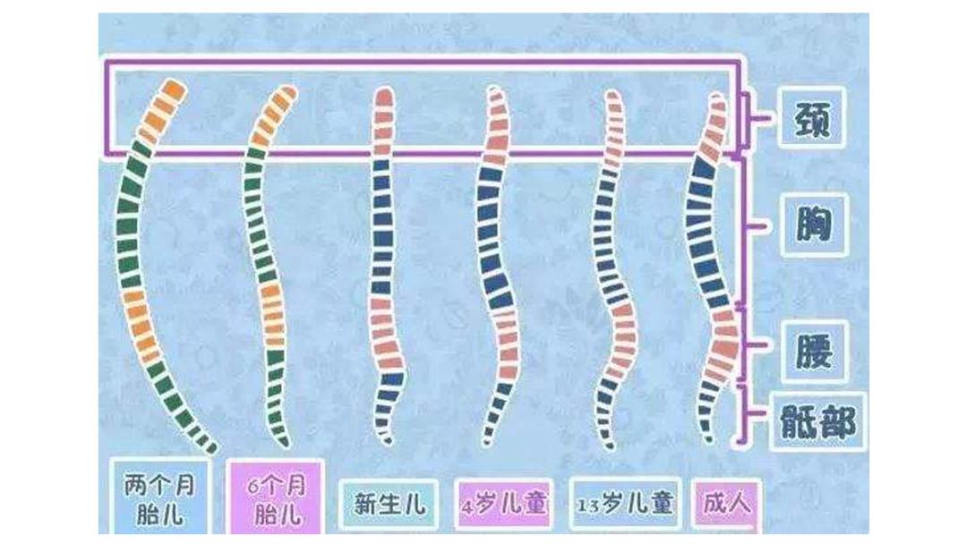 安全座椅购买攻略,安全座椅安全指南