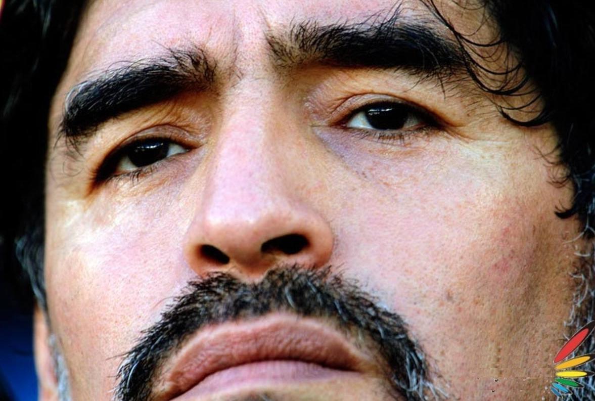 永远的马拉多纳,永远的马拉多纳视频