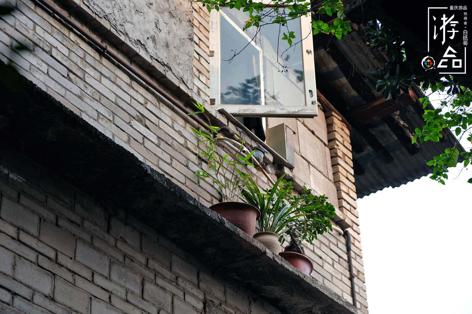 燕子岩重庆,重庆燕子岩风景区