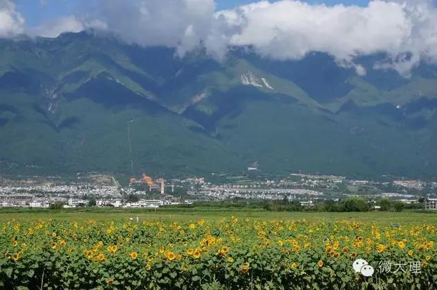 在大理定居修行,在大理定居攻略