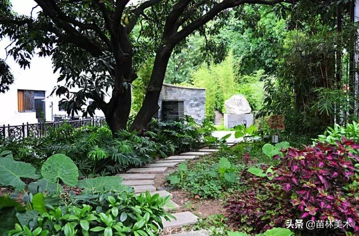 为什么好多人要上大专,为什么一定要上美院