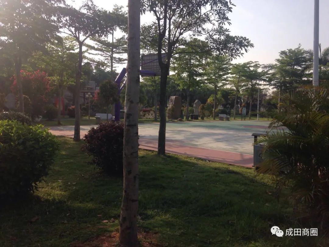 成田文体公园国庆,成田镇文体公园