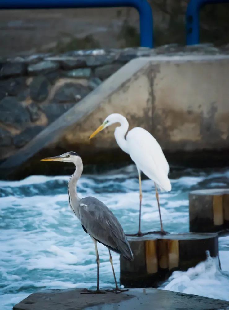 7月1日免签入境的游客,入境中国旅游免签最新规定