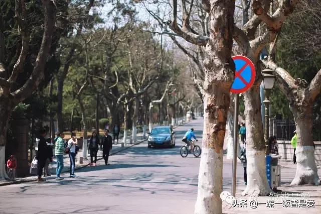 青岛哪里的白菜最好吃,盘点我吃过的青岛美食