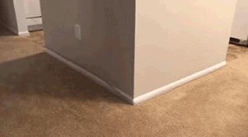 懒人最新逗猫技巧，让小猫玩的根本停不下来