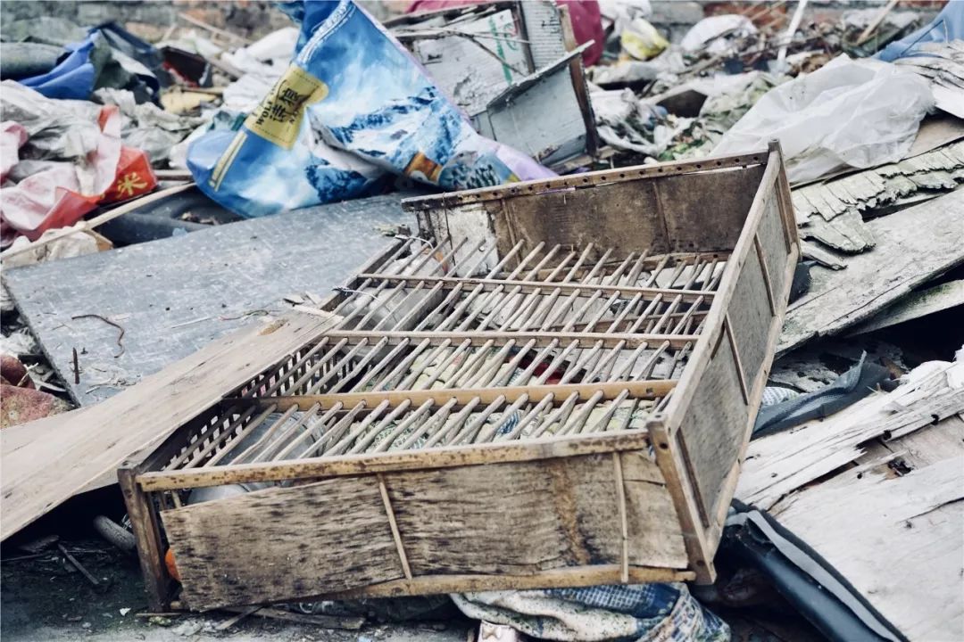 成都黄田坝鸟市在哪里,成都黄田坝鸟市