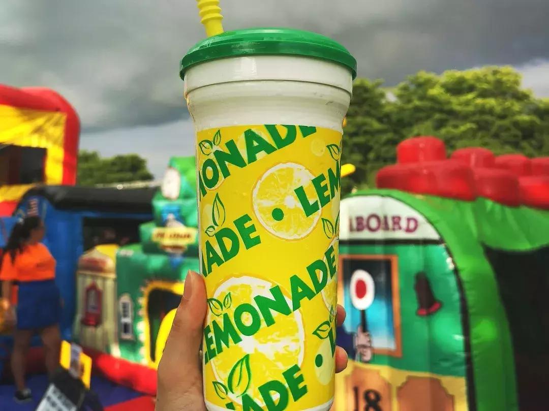 芝加哥南部旅游攻略图文,芝加哥附近旅游