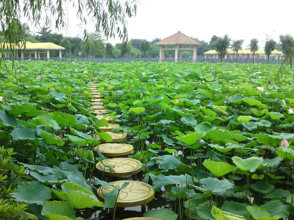 广东四会奇石河生态温泉景区,广东肇庆七星岩景区旅游攻略