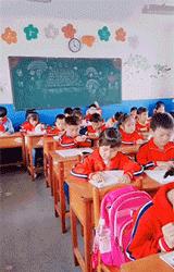 让人一看就能笑死的沙雕图片,史上最沙雕的100张图片