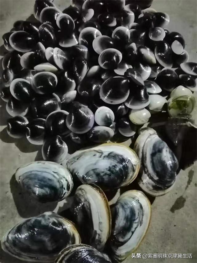 乐亭韩姐农家院价格,天津蓟县乐亭韩姐农家院