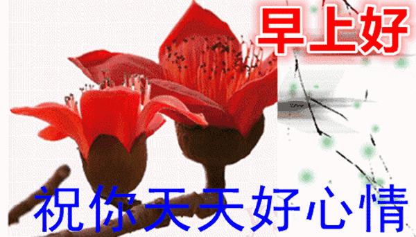 早上发的早安问候语简短,清晨早安温馨问候语集锦