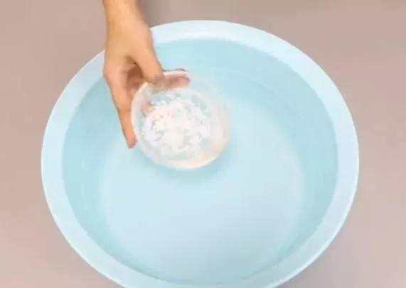 月季杀虫最有效液,什么植物可以帮月季杀虫