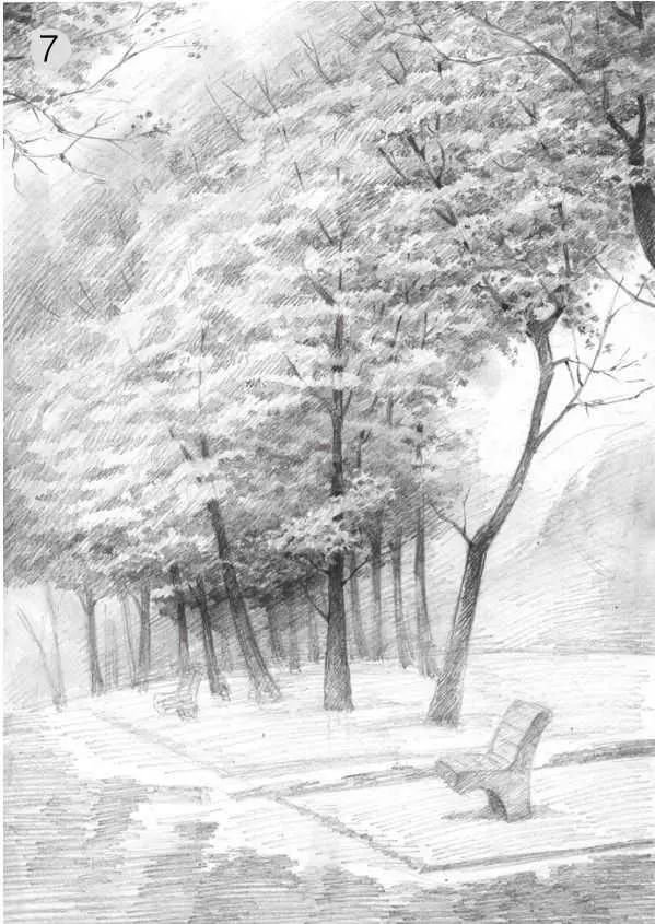 树林的画法简单又漂亮,如何画森林素描画教程