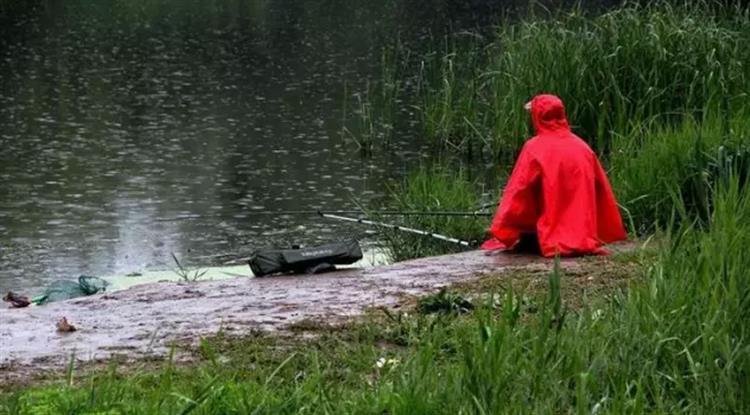 黑坑钓鲤鲫用什么饵比较合适,春季黑坑钓鲤用什么添加剂