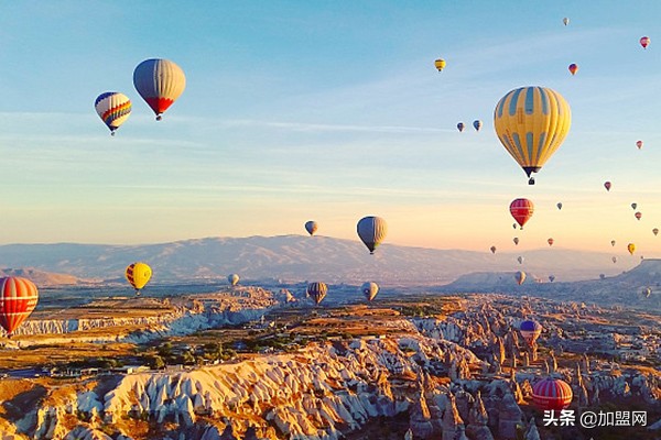 什么行业最挣钱,未来农村最吃香十大挣钱行业
