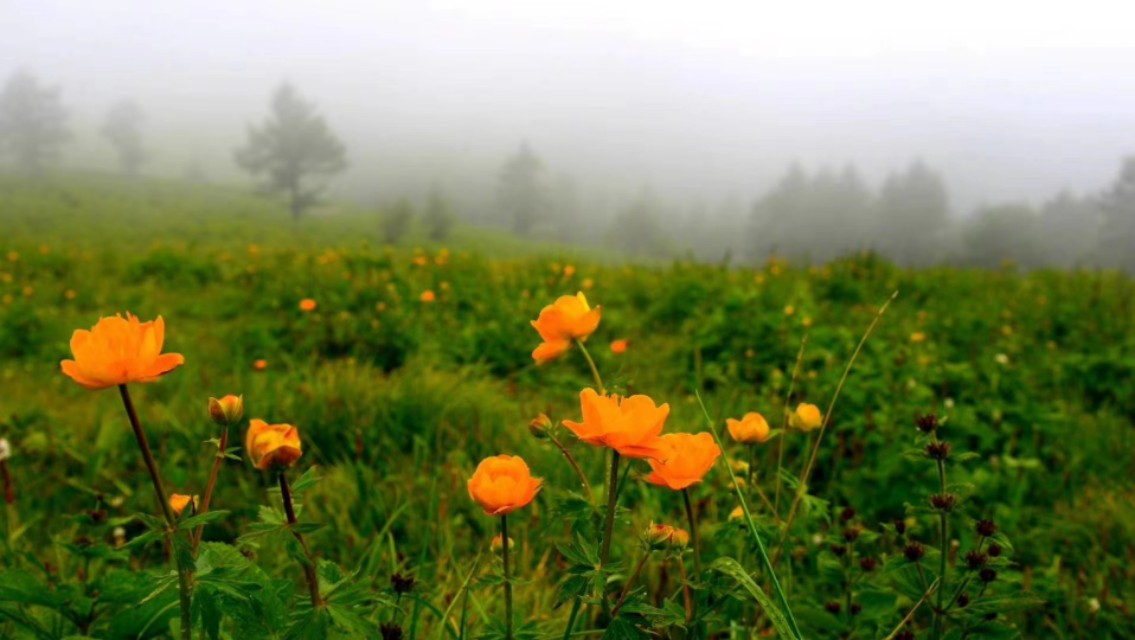 驼梁‖一处来了就会让你爱上的地方