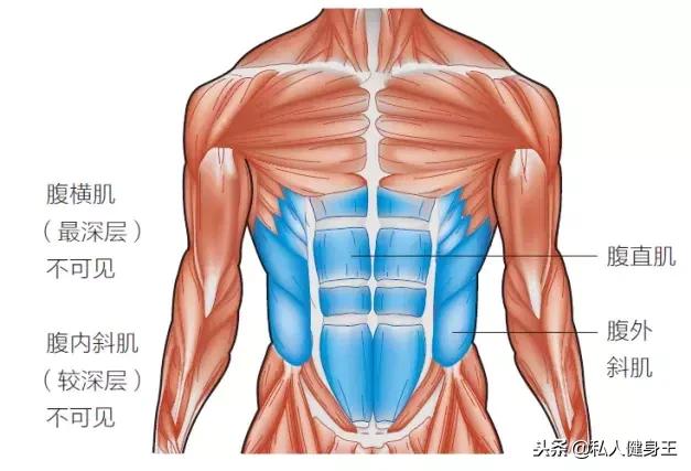 腹肌图解加动作示范,腹肌练习一分钟就有完整的腹肌