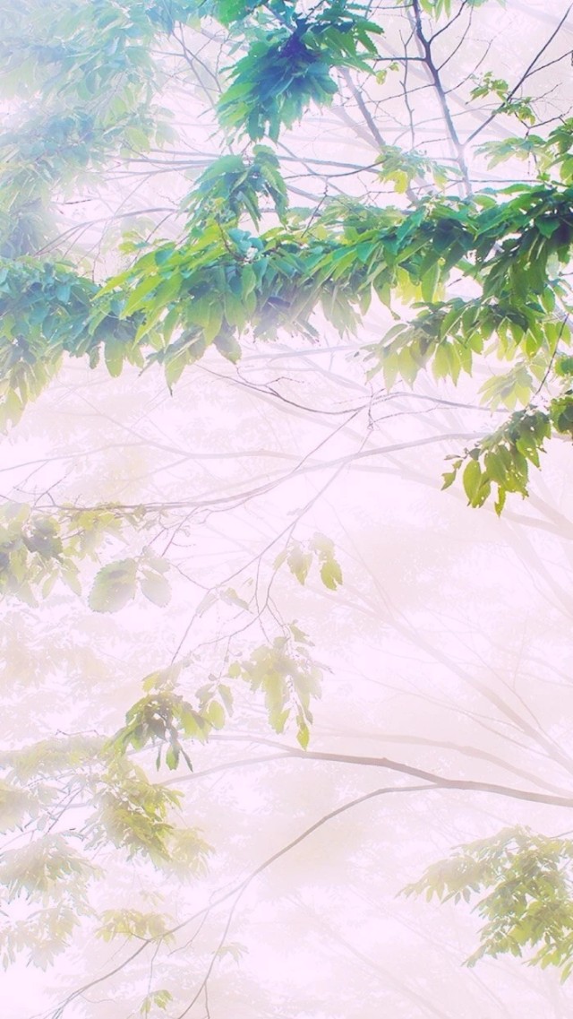 满天星辰是你，不尽思念也是你