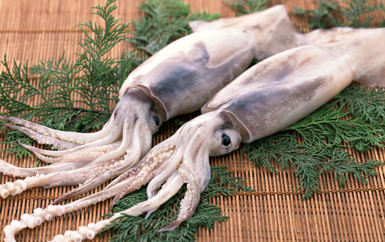 干货鱿鱼章鱼墨鱼有什么区别,墨鱼章鱼鱿鱼傻傻分不清