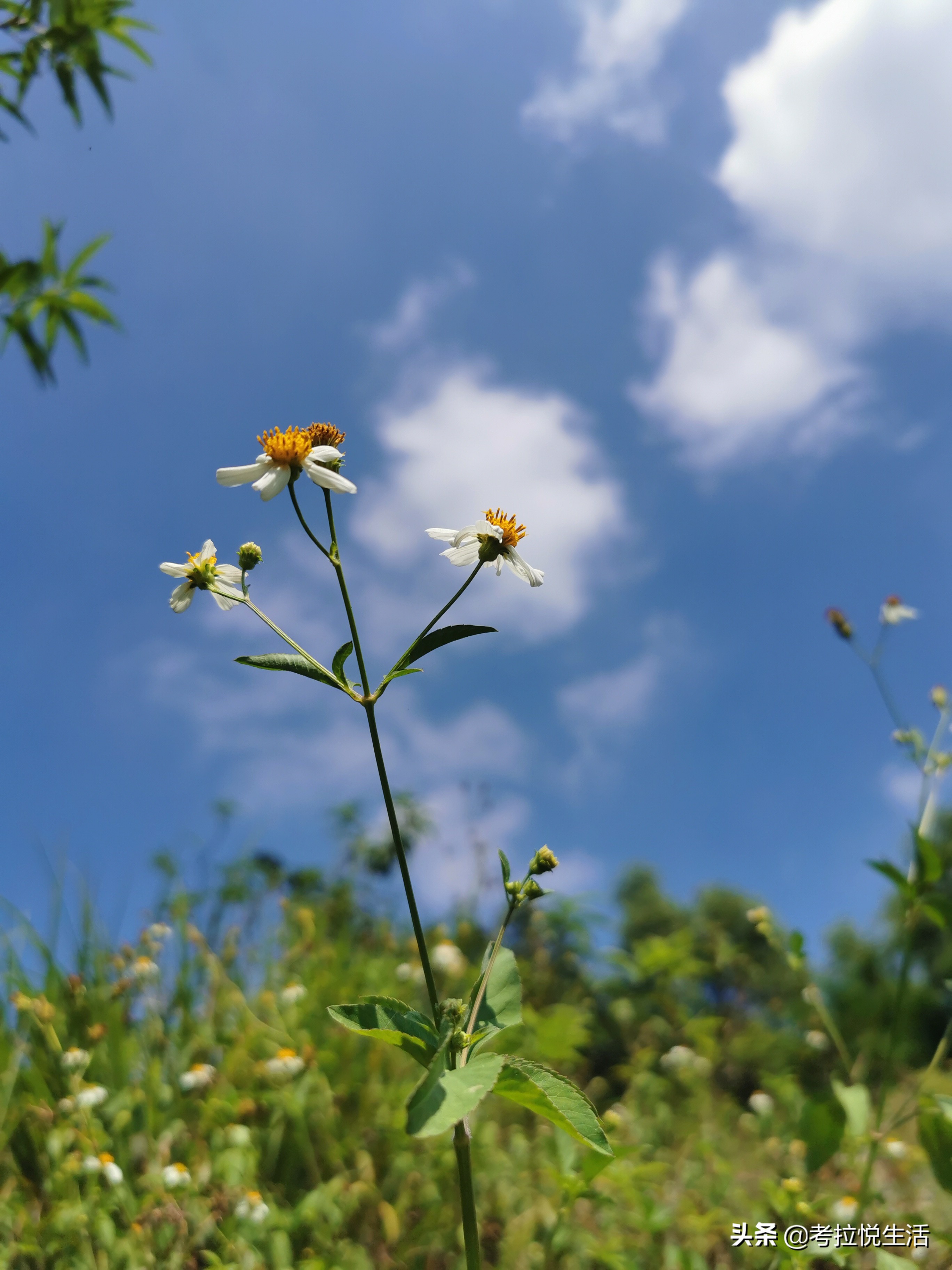 2018惠州中秋攻略,国庆惠州记录