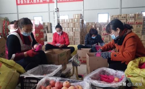 适合农村人做的创业机会,2022年农村创业做什么最适合