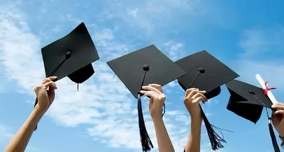 郑爽被曝日薪208万?!我的拳头硬了....