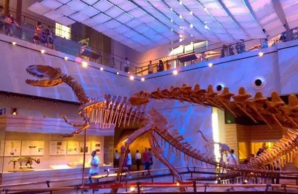 广州适合情侣旅游的景区推荐,广州情侣必去的旅游胜地