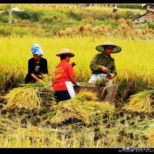 原生态山村农家,山村农家木瓦房