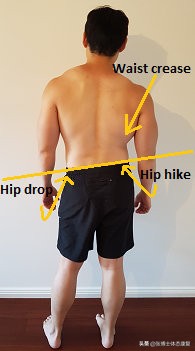 体态骨盆后倾怎么办,体态骨盆倾斜怎么矫正