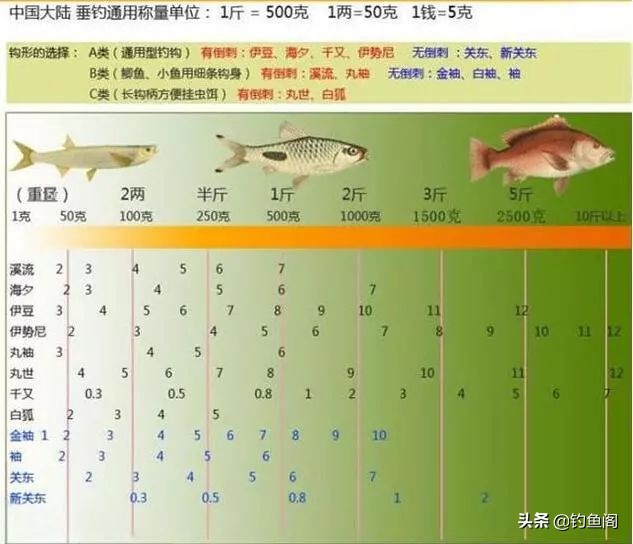 想钓鱼要先会打窝,想钓鱼用什么鱼饵